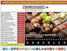 Tablet Screenshot of netevrak.com